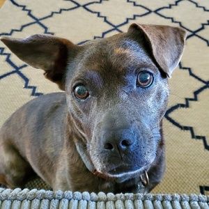 Meet your Posher, Candace